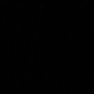 Meet your Posher, Jackson